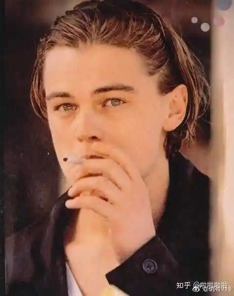 总结一下 小李子还是比较能驾驭各种发型的,哪怕这种也行 最后 李子最