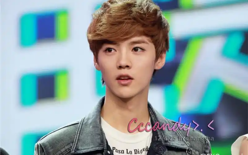 【鹿晗】考古120425快乐大本营cut