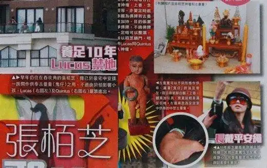 张柏芝养"小鬼"失控