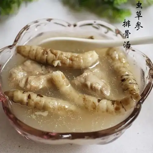 虫草参炖排骨