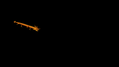 最后两条龙被夏朝人吃了是怎么一回事