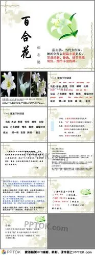 茹志鹃百合花ppt