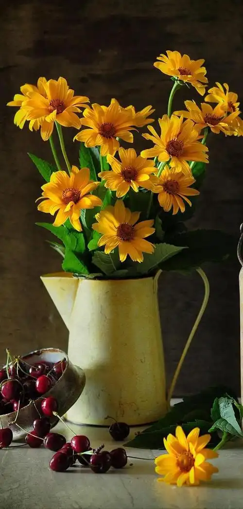 全面屏手机高清唯美壁纸