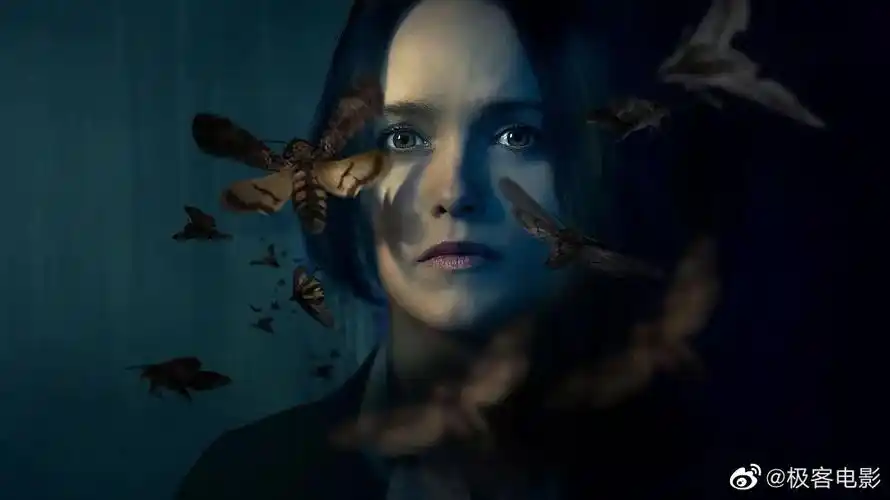 克拉丽丝开播豆瓣77分看了吗