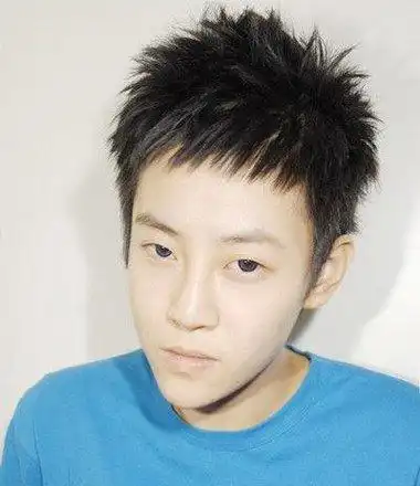 男生短毛寸有刘海发型设计这款男生短毛寸有刘海发型设计是有着蓬松感