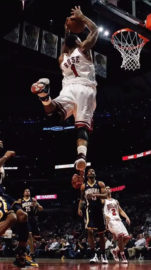 壁纸第三期:一直绽放的风城玫瑰德里克-罗斯)_篮球新闻 - 黑白体育