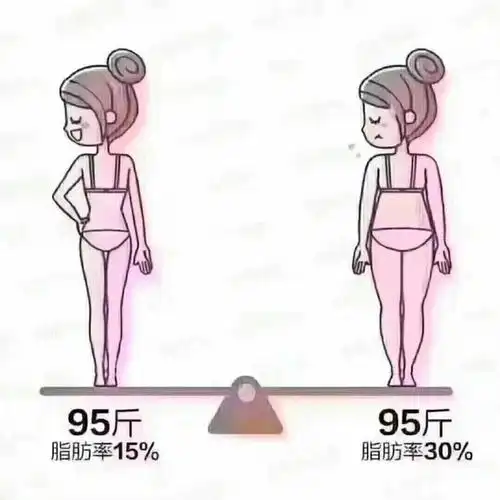 不同的体系,她的核心在于从女人的内心柔美出发,雕塑紧致挺拔的体型