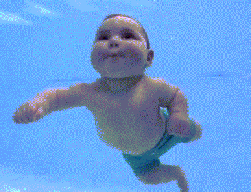 366_281gif 动态图 动图