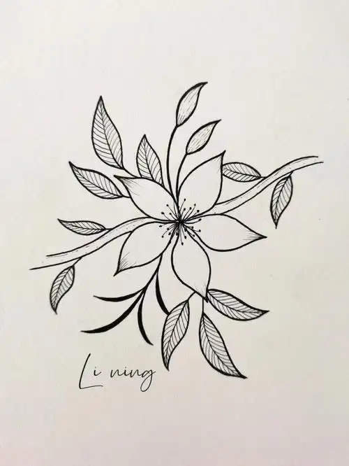 零基础学画画  #简笔画  #画画的日常  #针管笔手绘  #手绘  #花卉