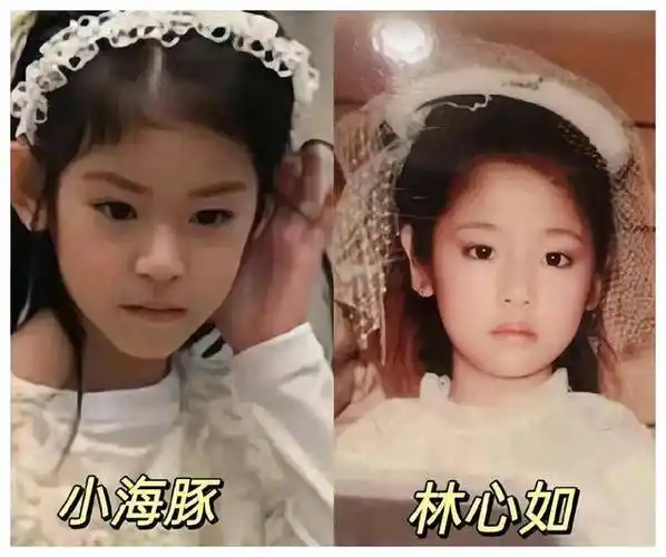 小海豚神奇亮相美丽基因传承霍建华林心如女儿震撼登场