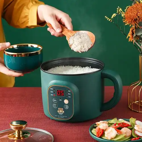 一个人做饭的小锅学生宿舍电饭煲多功能单小型可蒸煮煮饭粥锅迷你