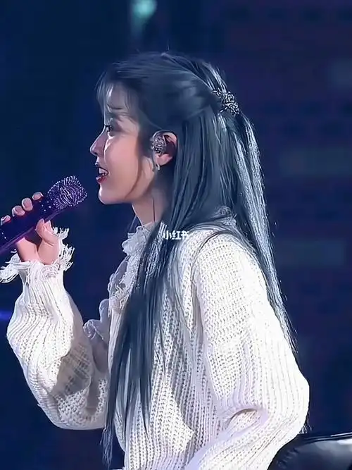 李知恩的演唱会