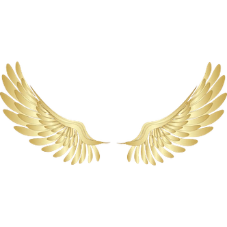 金色翅膀图片