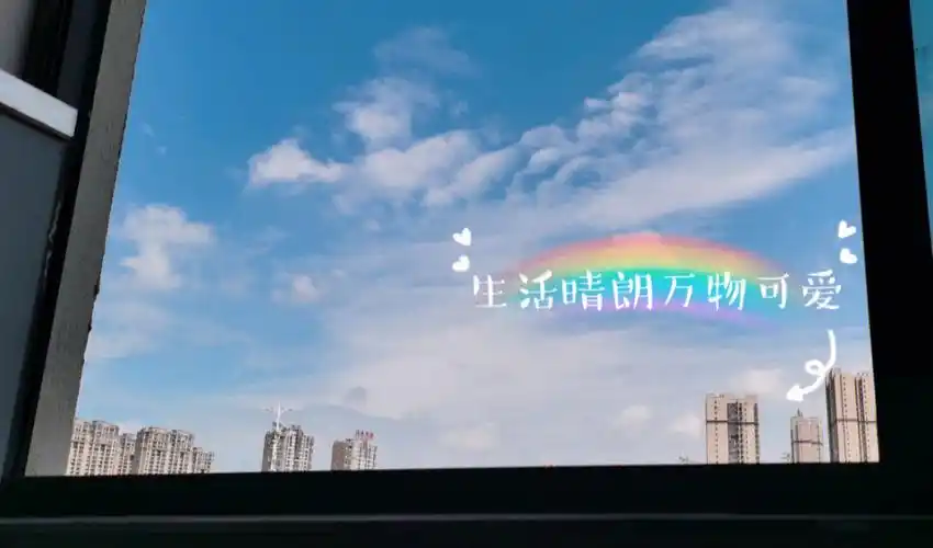 生活晴朗万物可爱