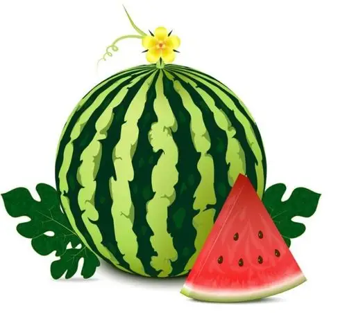 "停课不停学"四幼微课堂no.103—清凉大西瓜