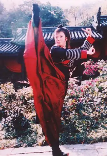 天龙八部彭丹 饰 秦红棉