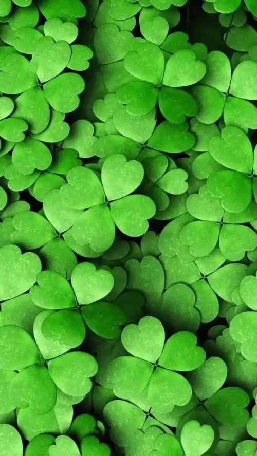 640_1137竖版 竖屏