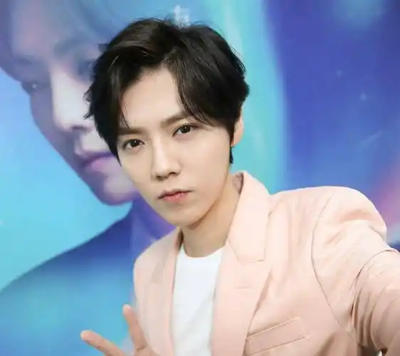 原创鹿晗粉丝干了件别家轻易不敢尝试的事情没想到效果出奇的好肖战家