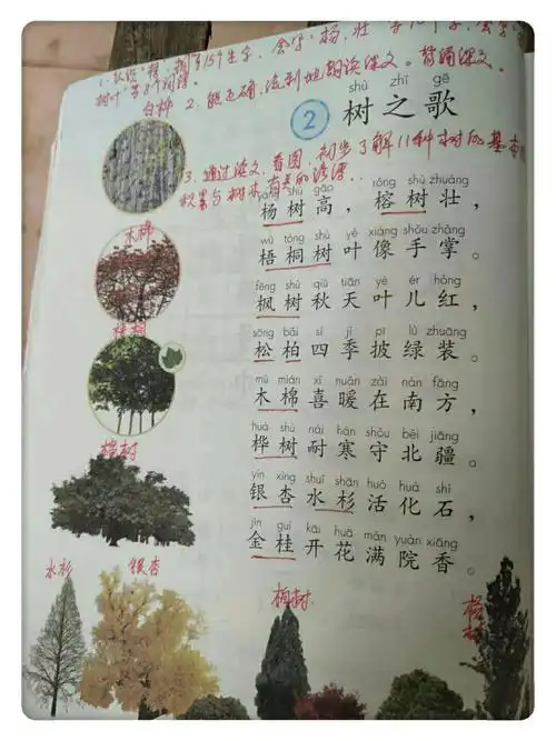 朗读美文,以声动人——塔洋镇联新小学开展部编教材语文课文朗读活动