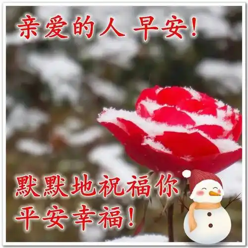 9张冬日最美风景早上好图片带字带祝福语 免打字聊天的清晨早安问候