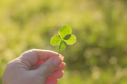 手四叶草图片