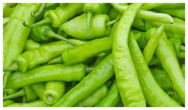 做虎皮青椒,直接倒油可不对,多做1步,起皮又入味,一点不油腻__财经头