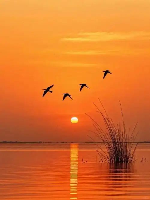 24句以小见大诗词:尺幅千里,意境壮阔