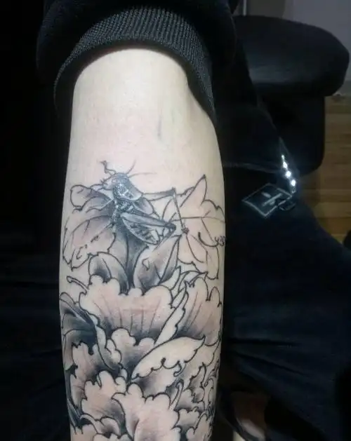 情伤遮盖纹身图片