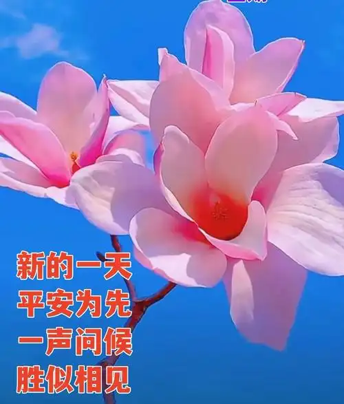 早安创意早上好问候语图片带字祝福关怀亲友吉祥话暖心问候祝福语