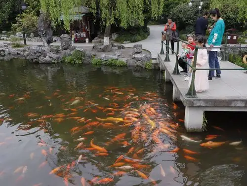 西湖十景之一——《花港观鱼》