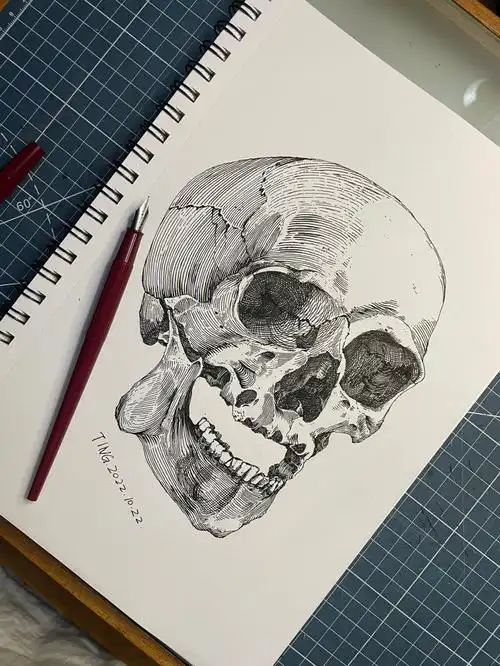 十月二十二76钢笔画骷髅头练习