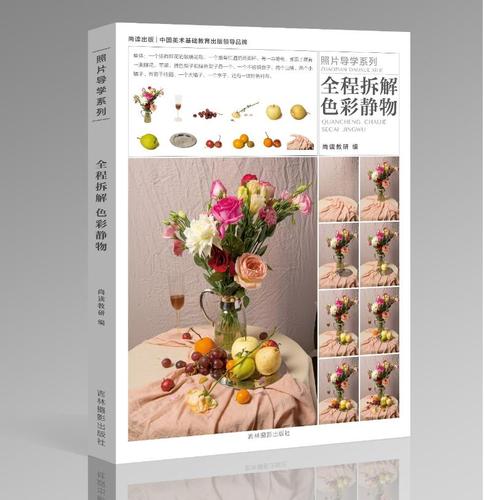 水粉画临摹范本照片对画临摹范本国美争霸色彩静物超级临摹联考绘画书