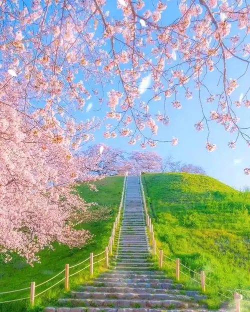 分享一些好看的朋友圈背景图,清新甜美唯美治愈