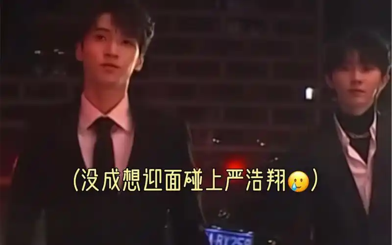 【马嘉祺严浩翔×你】高冷老公vs纯情偶像