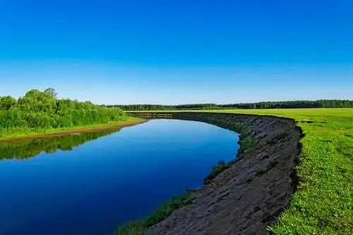 小河,小,平静,河,灌木丛,岸边