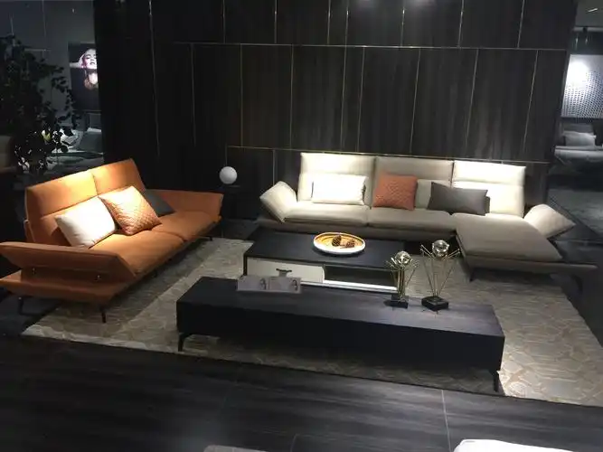 广东布兰斯沙发