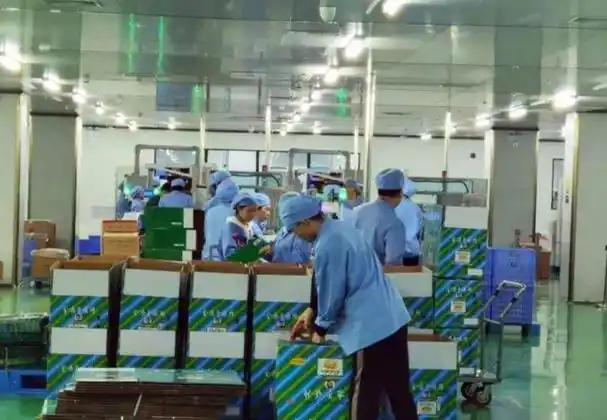 广西金嗓子创始人江佩珍欠5千万成老赖如今宣布退市