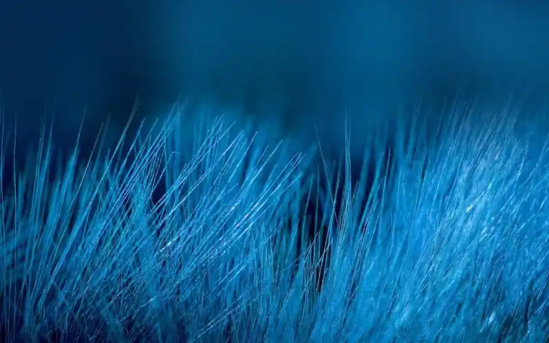 苹果ios 10 iphone 7 plus hd 墙纸 - 1680x1050 壁纸 下载