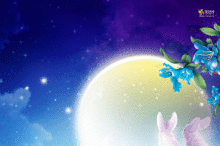 好看动态屏保,高清图片,电脑桌面-壁纸族