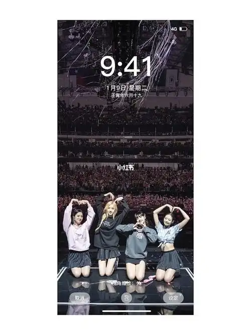 1030blackpink巡演大合唱壁纸