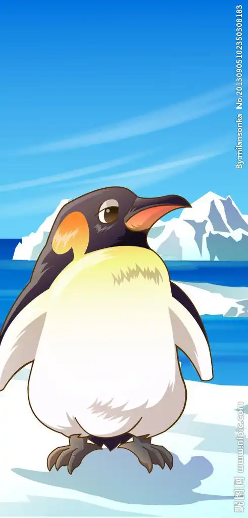 可爱动物绿色南极企鹅图片