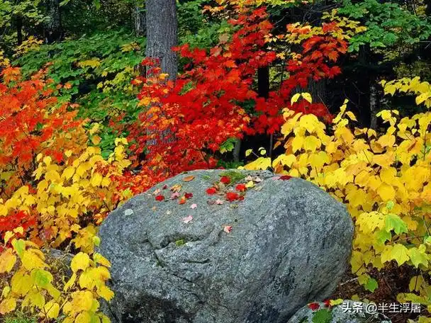 我酒后驾车被查,给在交警队的队长侄子打电话,他的做法让我意外