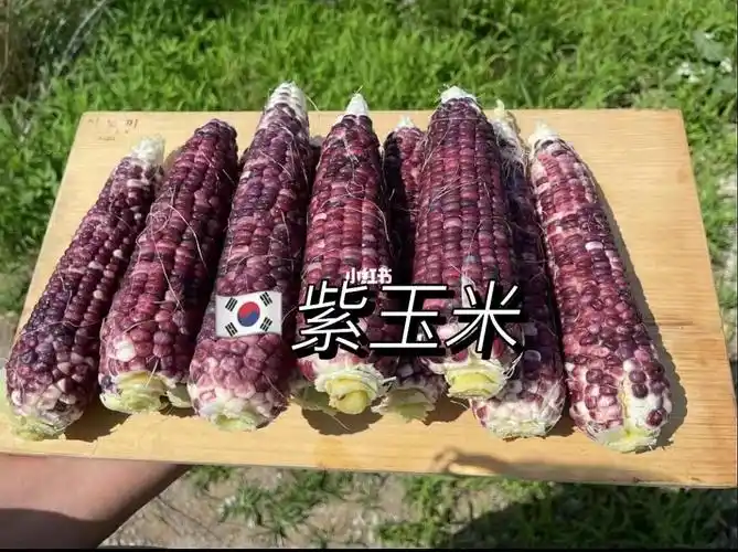 紫玉米一箱
