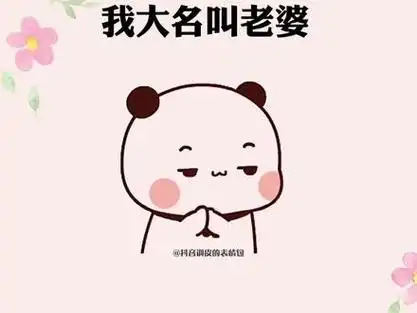 喊老婆表情包_喊老婆表情包可爱_喊老婆表情包猫 - 抖音