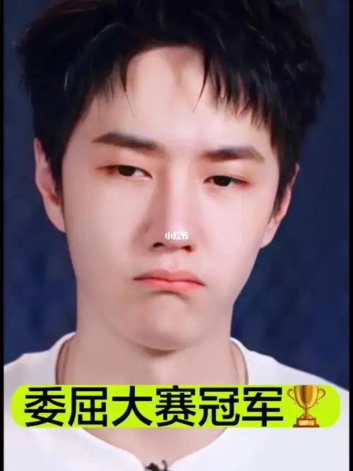 王一博世界委屈大赛冠军选手