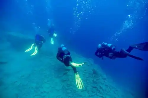 我知道你想潜水所以我准备了这份五一超全潜水攻略