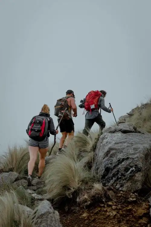 一群人登山远足背影图片