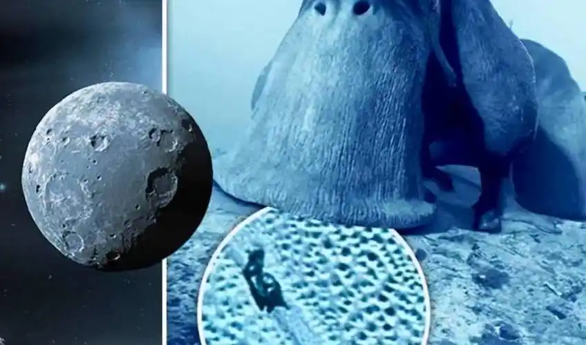 冥王星到底有多可怕被称为极寒之地能冰封任何物体