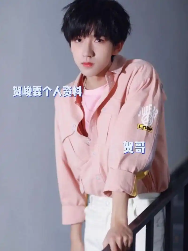 贺峻霖个人资料 1.中文名:贺峻霖 2.英文名:he jun lin 3.