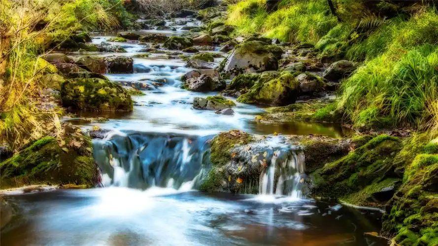 林间小溪唯美高清桌面壁纸